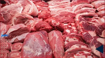 أسعار اللحوم.. تحديث جديد للأسعار اليوم الثلاثاء 14 أكتوبر 2025